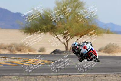 media/Nov-05-2022-SoCal Trackdays (Sat) [[f8d9b725ab]]/Turn 4 Tree of Life (125pm)/